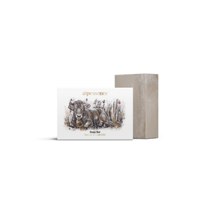 Soap Bar
