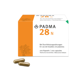 Padma 28 N